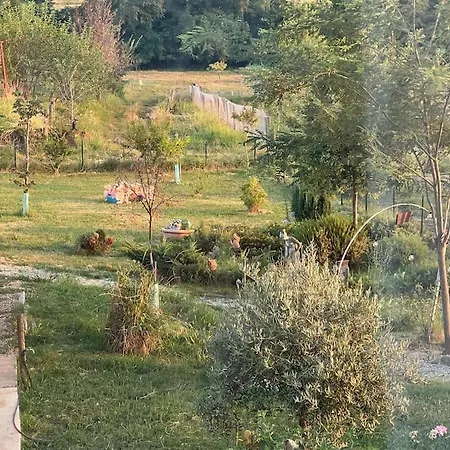 Nido Nel Verde