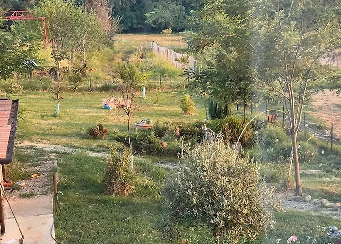 Nido Nel